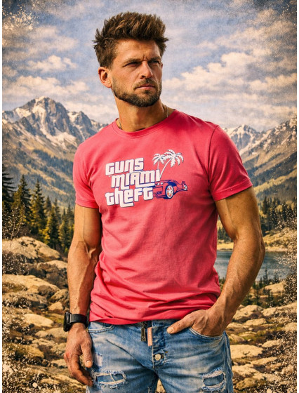 T-SHIRT GUNS THEFT